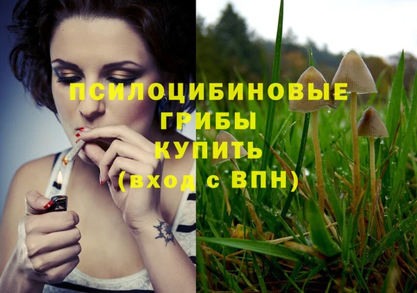 сатива Армянск