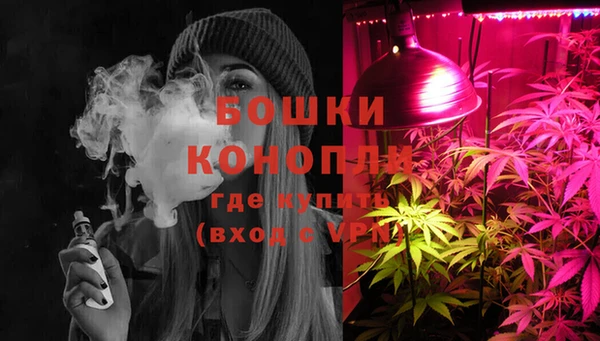 сатива Армянск
