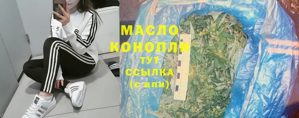 сатива Армянск