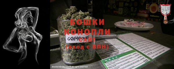 spice Аркадак