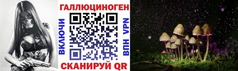 Псилоцибиновые грибы ЛСД Югорск