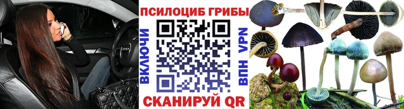 магазин  наркотиков  Югорск  Галлюциногенные грибы Psilocybe 